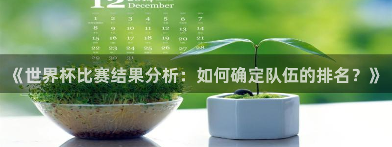世界杯决赛预测：《世界杯比赛结果分析：如何确定队伍的排名？》