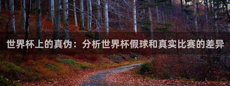 2026 世界杯：世界杯上的真伪：分析世界杯假球和真实比赛的差异