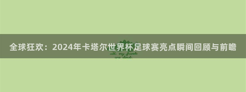 2006世界杯：全球狂欢：2024年卡塔尔世界杯足球赛亮点瞬间回顾与前瞻