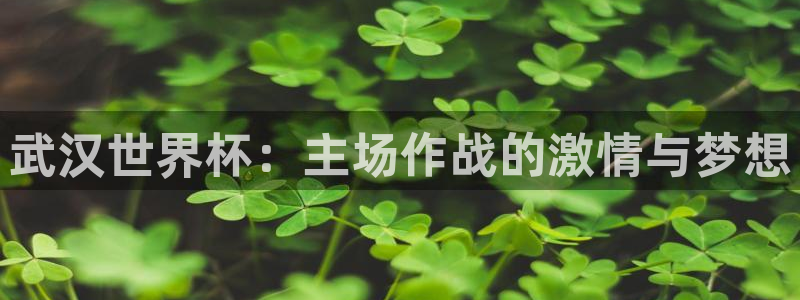 世界杯欧洲区世预赛赛程：武汉世界杯：主场作战的激情与梦想