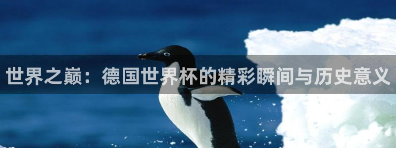 世界杯第一场比赛：世界之巅：德国世界杯的精彩瞬间与历史意义
