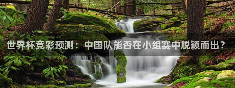 世界杯预选赛直播：世界杯竞彩预测：中国队能否在小组赛中脱颖而出？