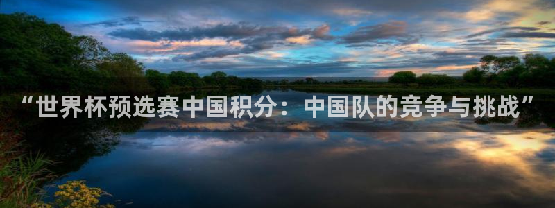 世界杯：“世界杯预选赛中国积分：中国队的竞争与挑战”