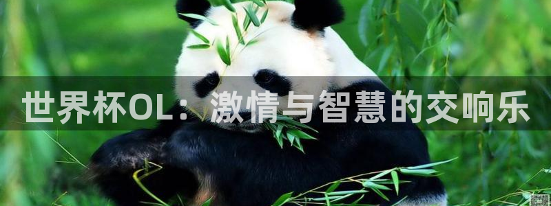 世界杯比赛时间：世界杯OL：激情与智慧的交响乐
