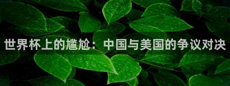 世界杯2026赛制：世界杯上的尴尬：中国与美国的争议对决