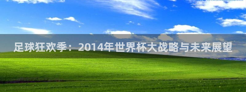 世界杯16强赛程表:足球狂欢季:2014年世界杯大战略与未来展望