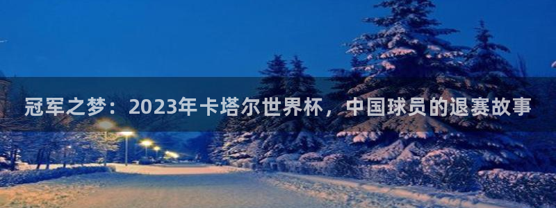 世界杯预选赛欧洲区赛程：冠军之梦：2023年卡塔尔世界杯，中国球员的退赛故事