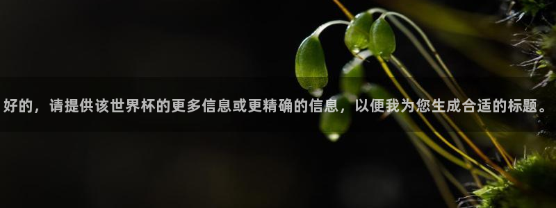 世界杯48支球队赛制：好的，请提供该世界杯的更多信息或更精确的信息，以便我为您生成合适的标题。