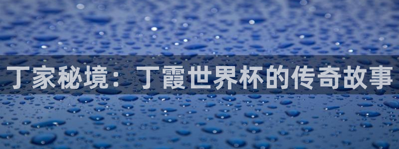 欧联杯直播：丁家秘境：丁霞世界杯的传奇故事