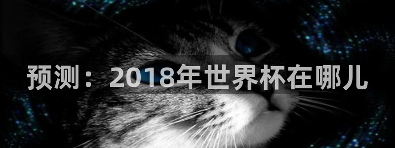 2026年世界杯赛程：预测：2018年世界杯在哪儿